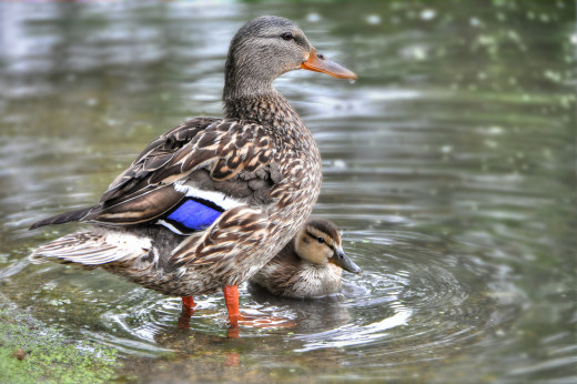 793205 (a): :2048x1360